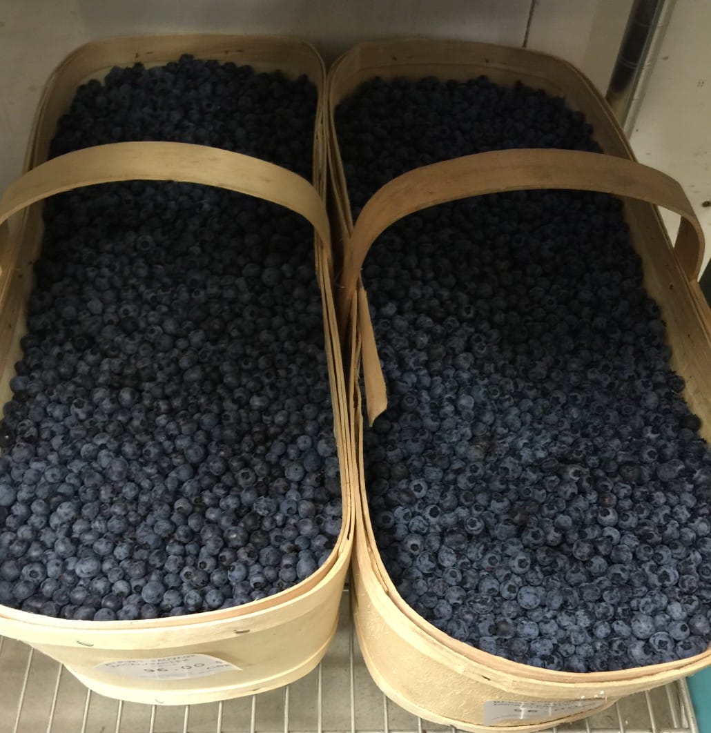 Quebéc blueberries