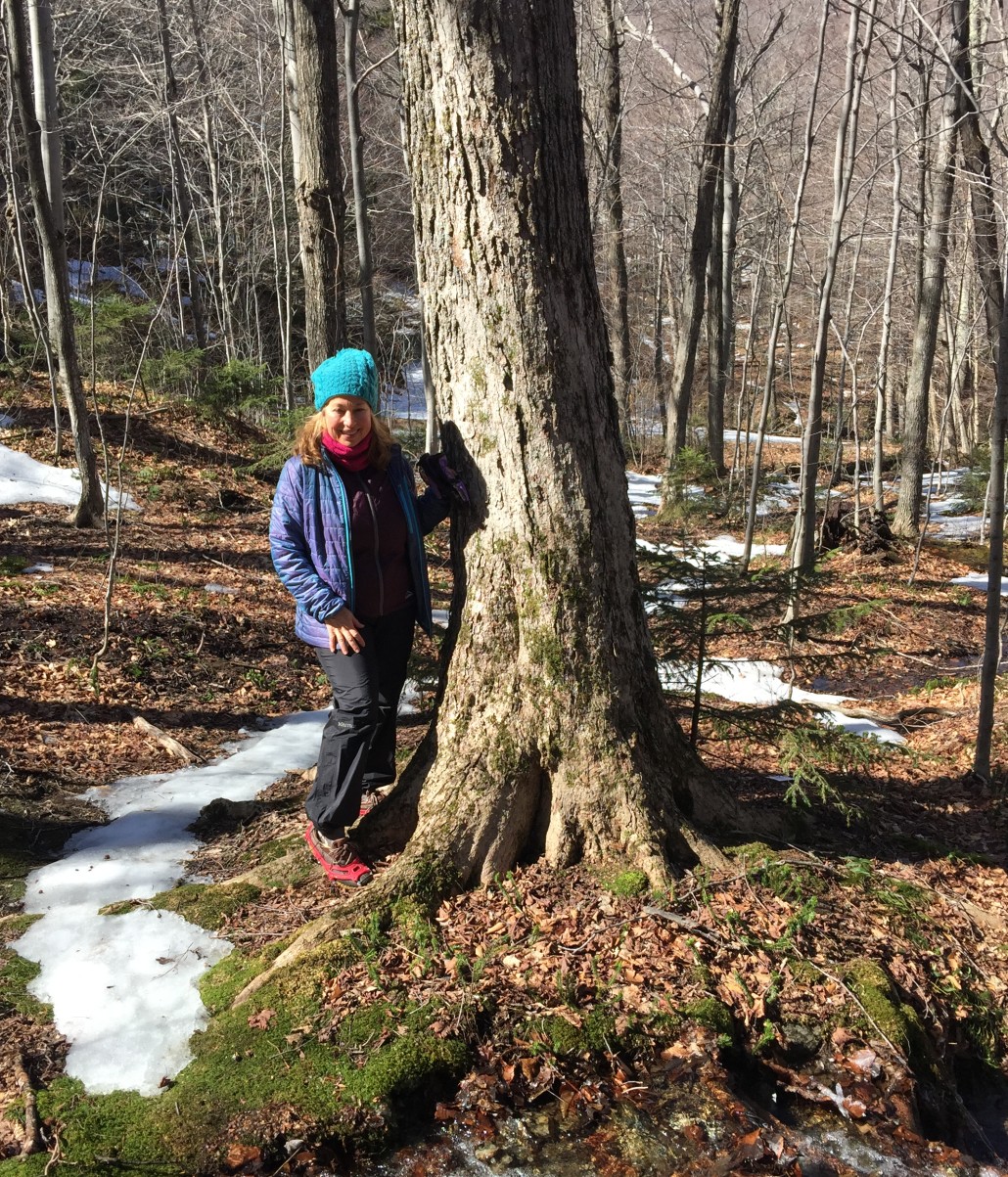 Enjoying early spring on Mad River Glen's nature hike