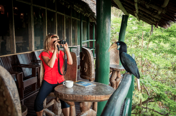 "Birdwatching " at Karawari Lodge