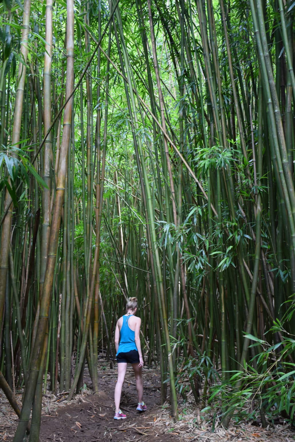 Bamboo Falls hike on the Road to Hana