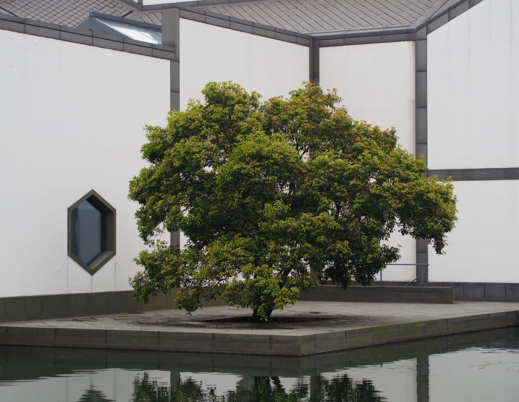 In the courtyard of the Suzhou Museum, another moment of reflection