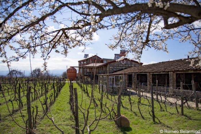 Kakheti wine country