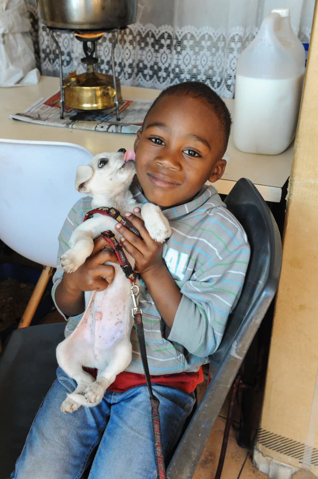 Boy enjoying his puppy at Tumi's home in Alexandra township