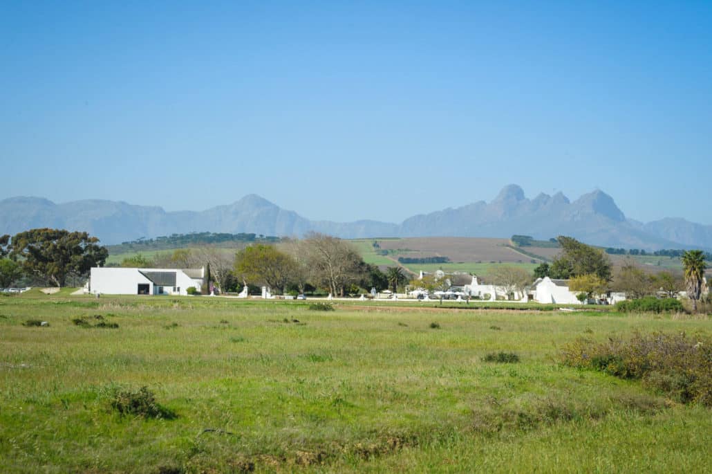 Vergenoegd Wine Estate in Stellenbosch