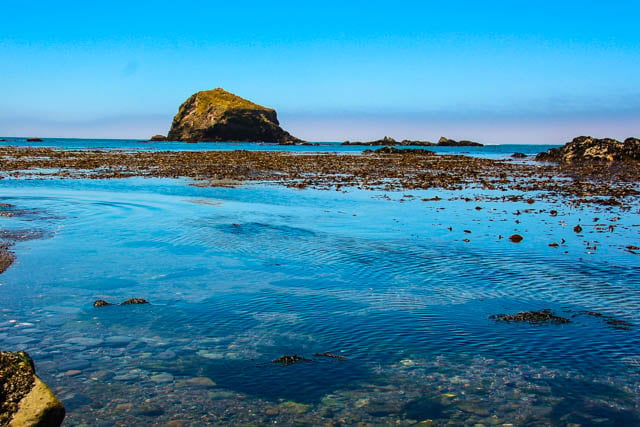 Van Damme Beach in Mendocino