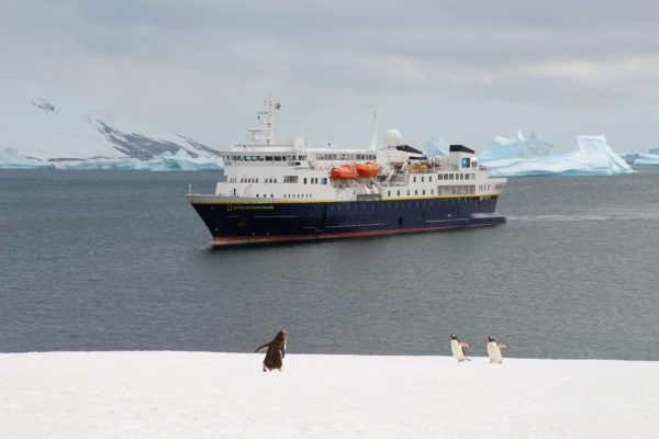 Gentoo penguins and our boat
