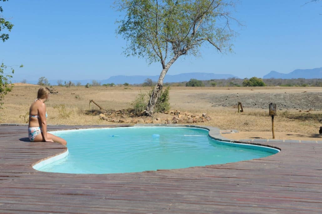 From the pool one can see animals stroll up to the watering hole