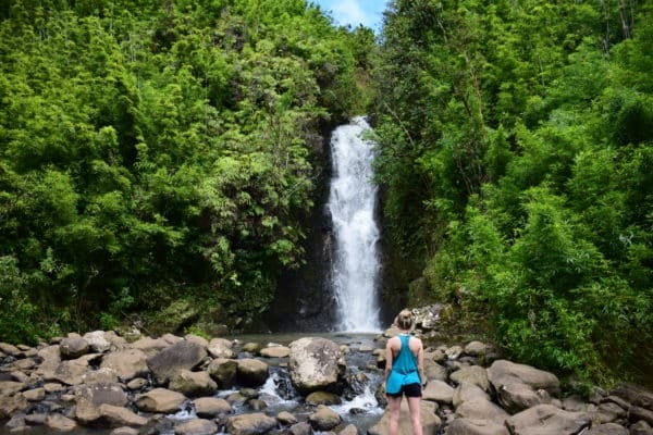 Road to Hana - Bamboo Falls (Credit: Caitlin Martin)