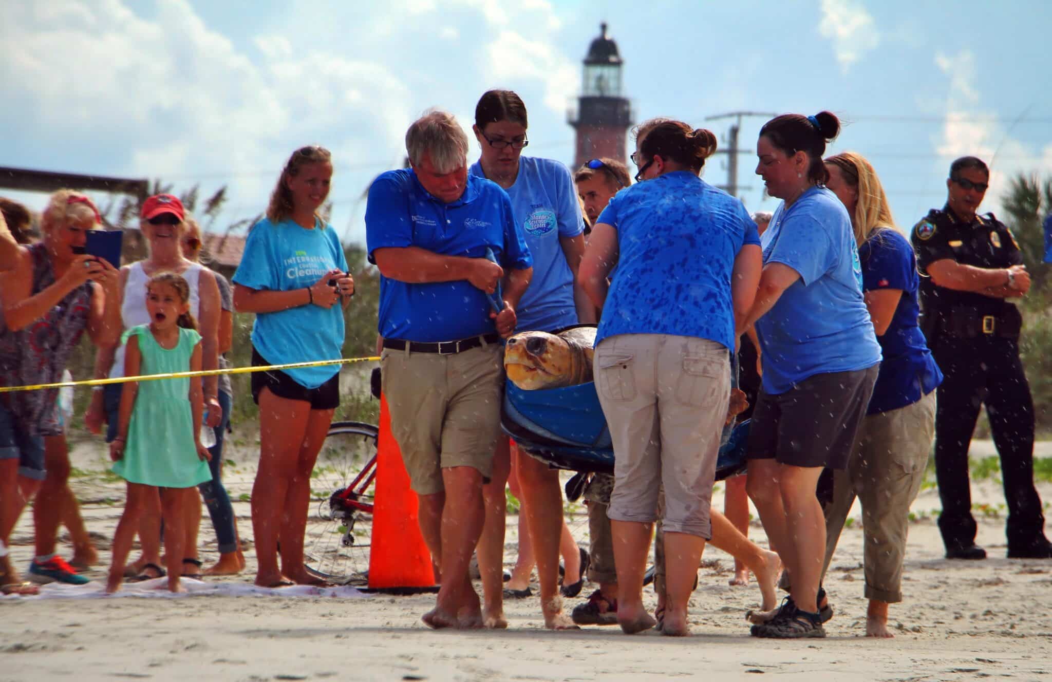 Carrying a rehabbed Rio for release back into the Atlantic (Credit: Bill Rockwell)
