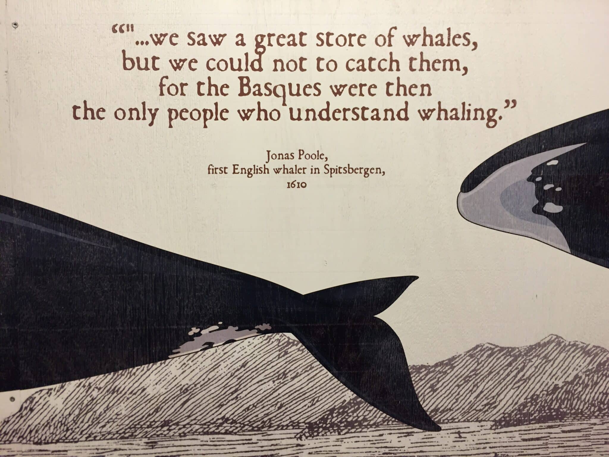 The Basques were whalers
