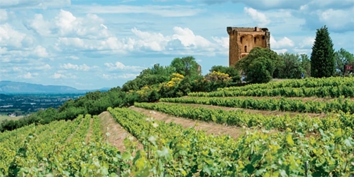 wine-rhone-valley