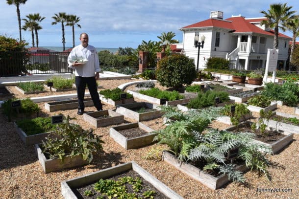 Hotel del Coronado Chef Picking Fresh Veggies/Herbs