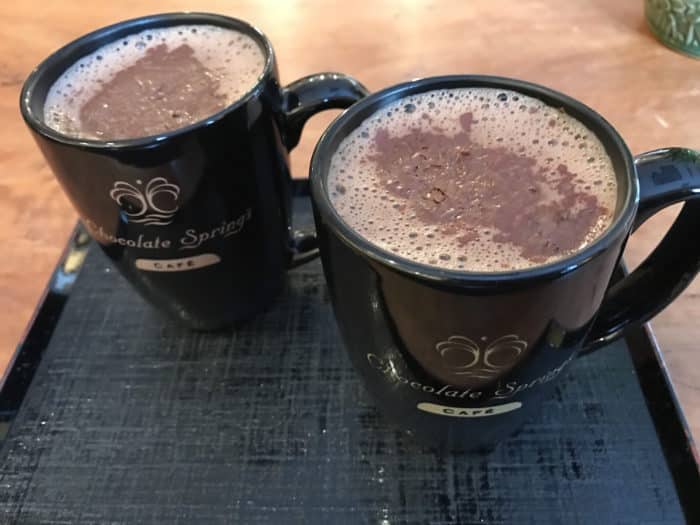 The best hot chocolate (ChocolateSprings.com)