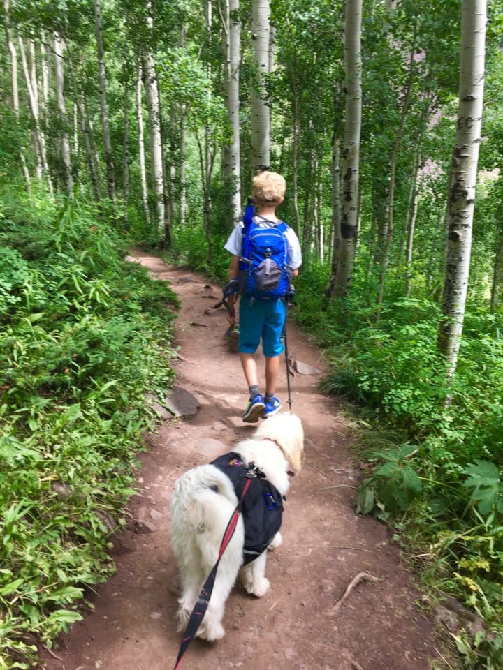 Hiking the Aspen grove of Crater Lake Trail
