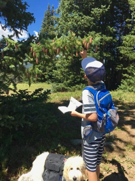 Ames navigating tree discovery with his ACES tree finder booklet