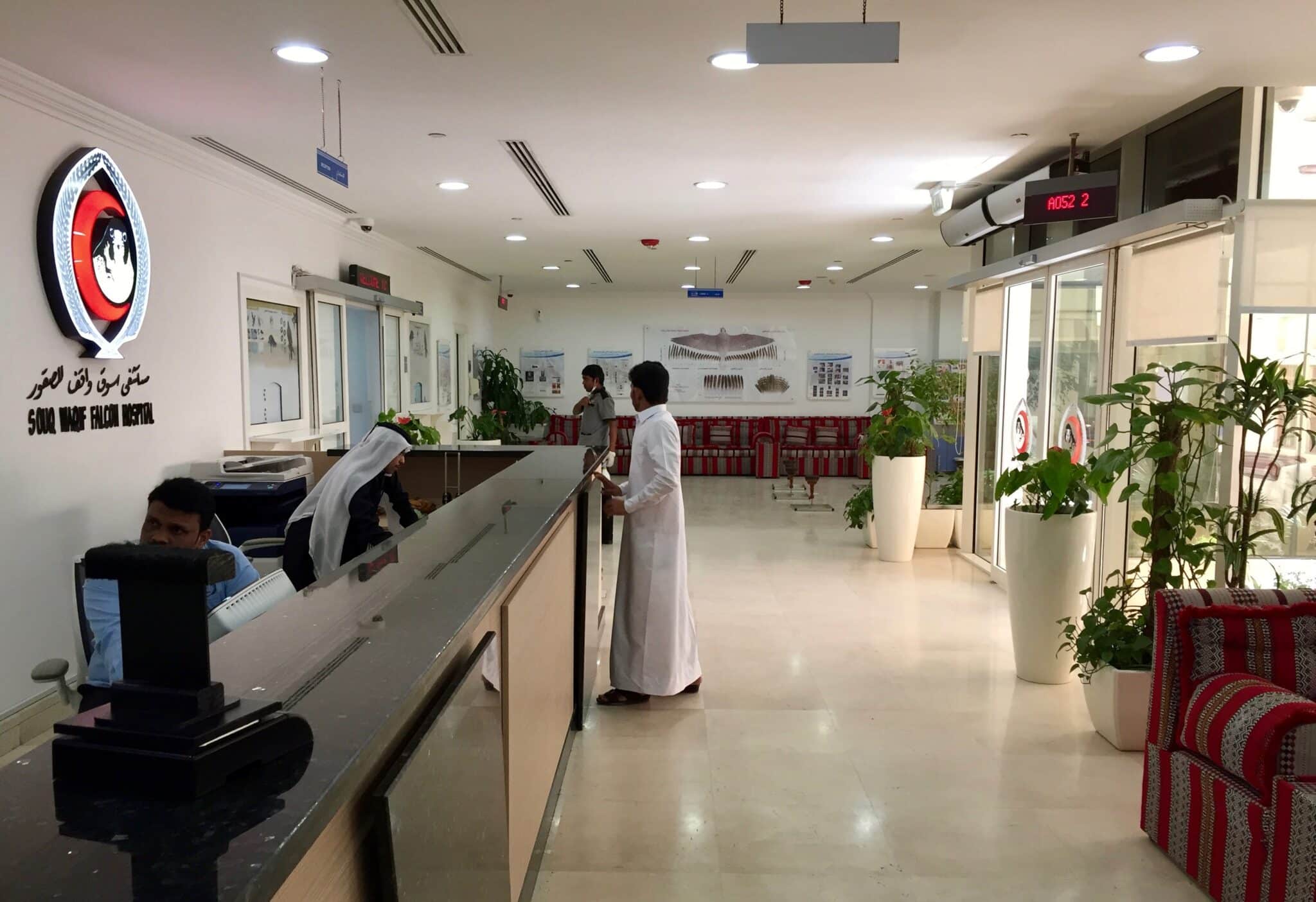 Souq Waqif Falcon Hospital reception