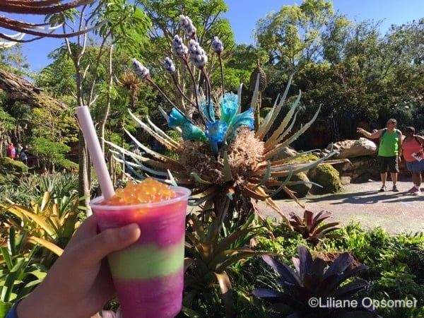 "Night Blossom": A mixture of limeade with apple and desert pear flavors topped with passionfruit boba balls