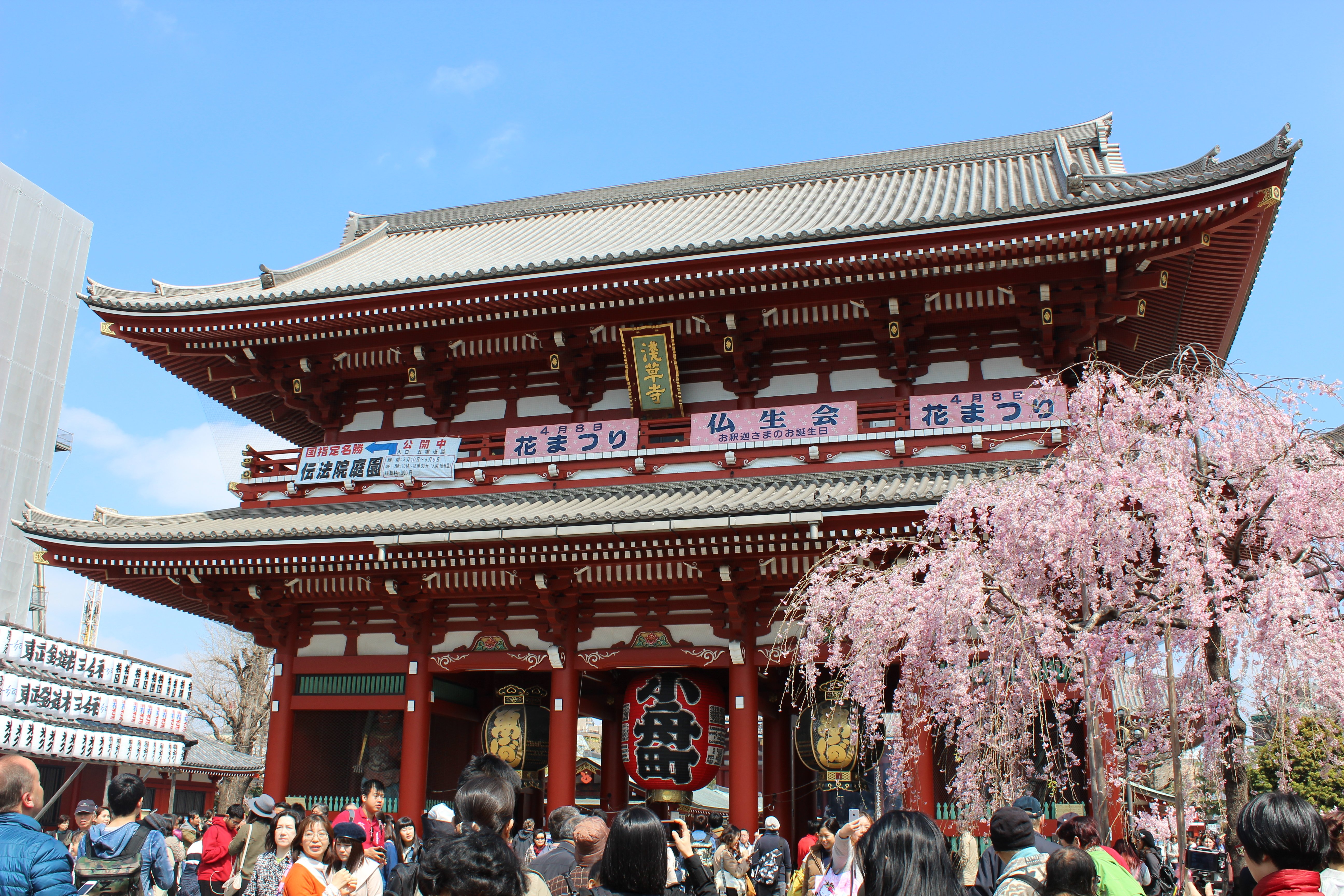 Asakusa Sensoji (Credit: All Japan Tours)