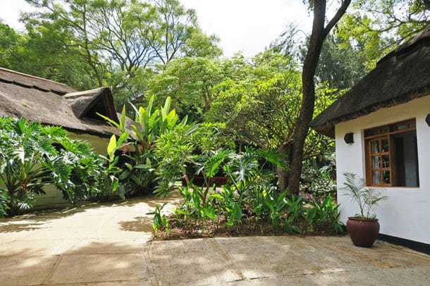 One of the many beautiful walkways through the grounds of Ngorongoro Farm House. 