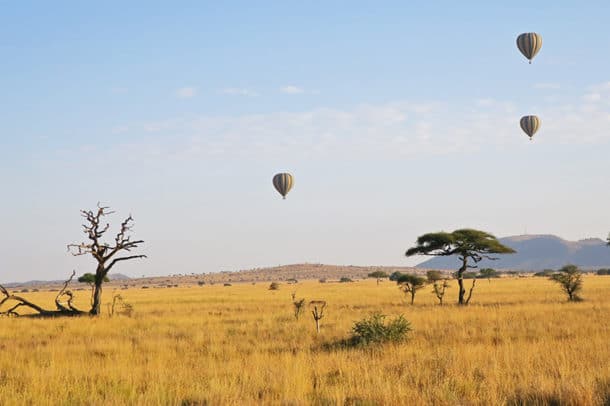 A group of hot air balloons flying across the Serengeti
