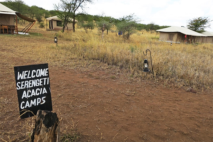Staying at a luxury camp in the Serengeti is incredible—but don't expect the Wi-Fi to work