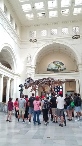 The Chicago Field Museum is home to Sue the T. Rex, the largest, most complete T. rex ever discovered