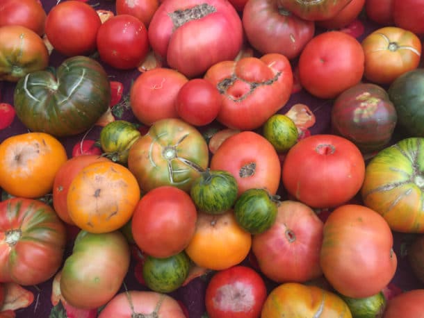 Colorful tomatoes from a farmer's market