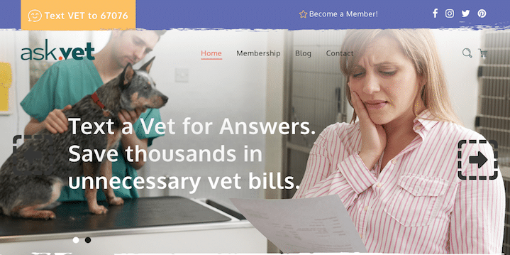 How to find a vet on the road