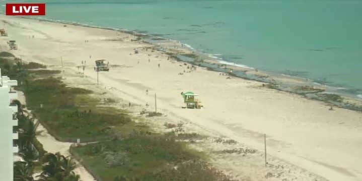 Miami webcams