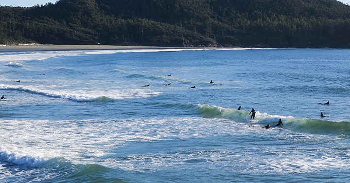 Surfers in Cox Bay, Tofino