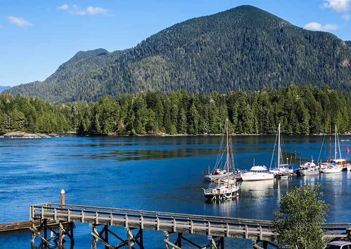 The view from our room at Tofino Resort + Marina