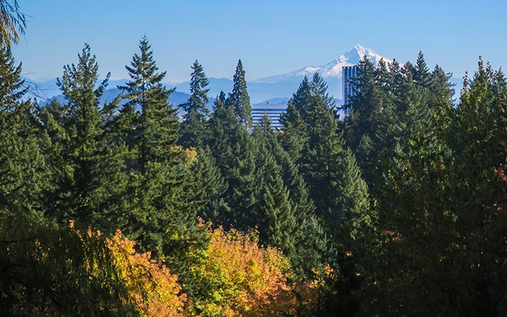 View of Mt. Hood from Washington Park