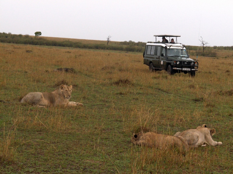 On a game drive