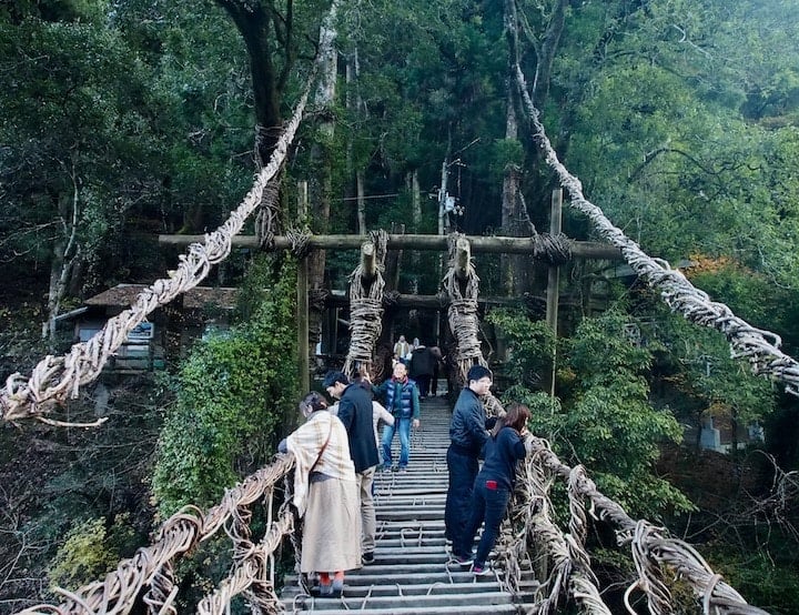 Iya Vine Bridge