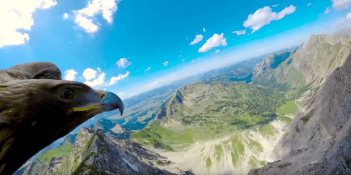 What it’s like to fly like an eagle
