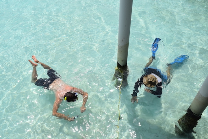 Attaching the corals under our overwater villa (Credit: Caitlin Martin)