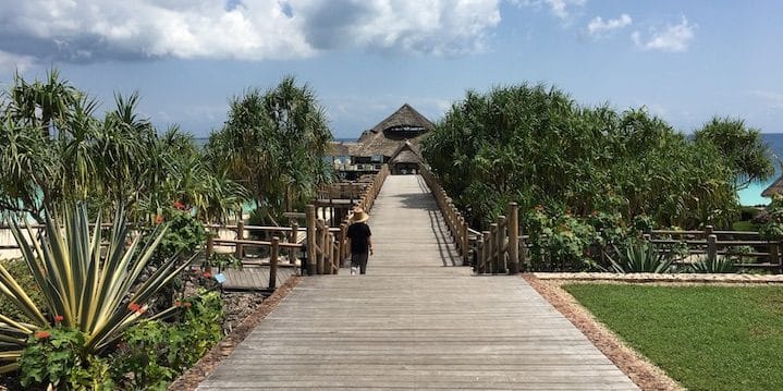 The path down to the beach