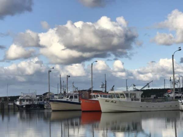 Harbor at Chéticamp, Cape Breton