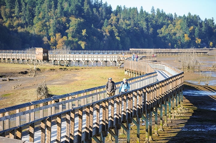 Nisqually National Wildlife Refuge consists of marshes, grasslands and forest habitats