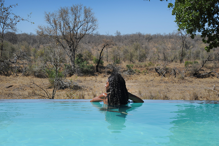 Watching animals walk by from the infinity pool at Becks Safari Lodge