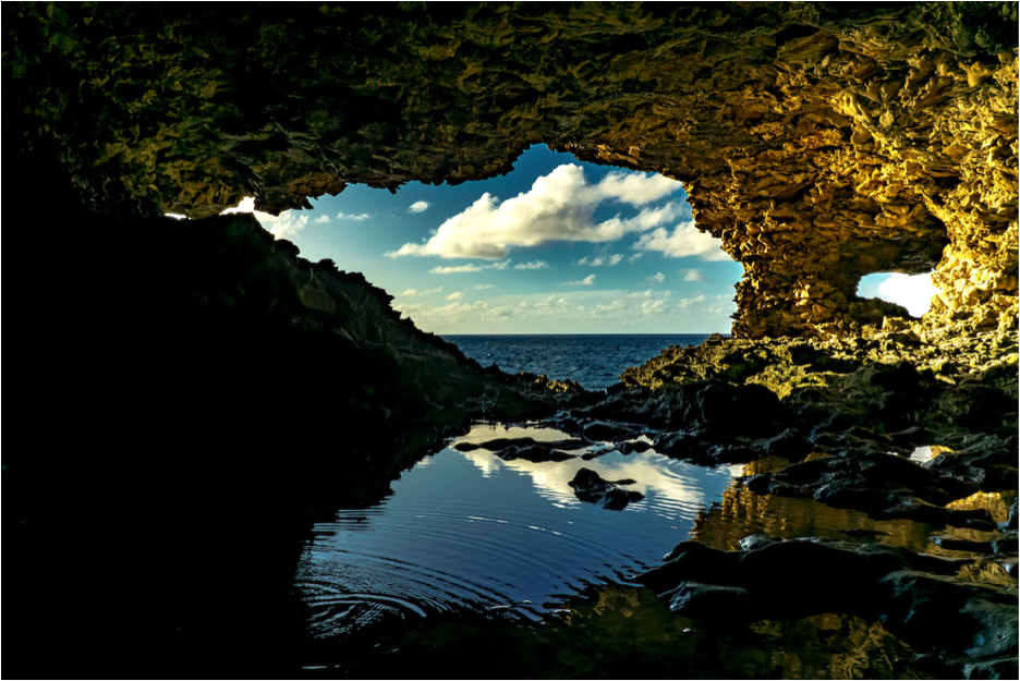 Animal Flower Cave