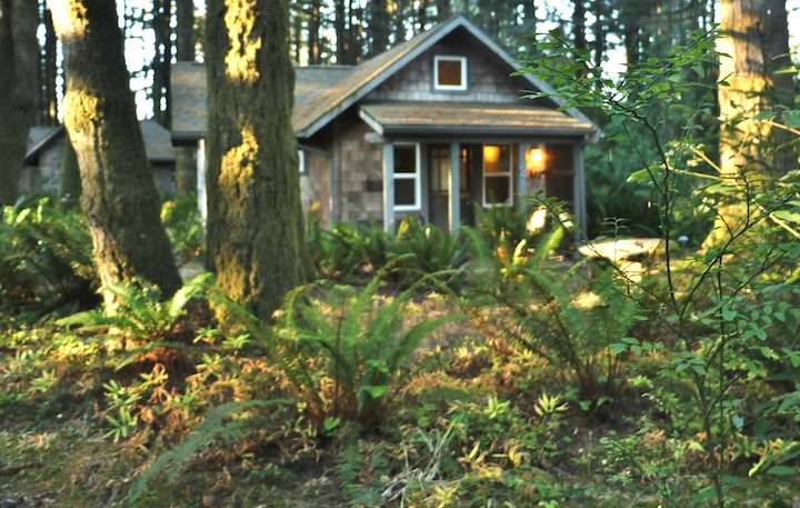 Cottage at WildSpring Guest Habitat (Credit: Bill Rockwell)
