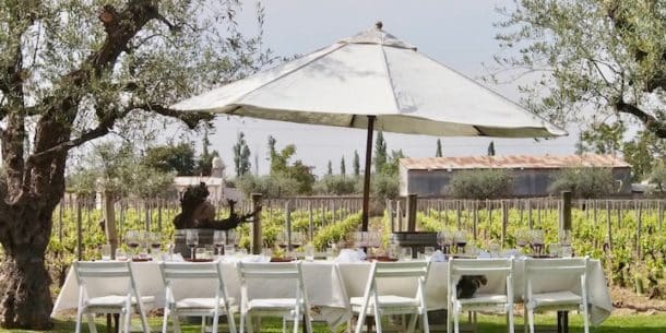 Lunch beside vineyards at Bodega Tapiz