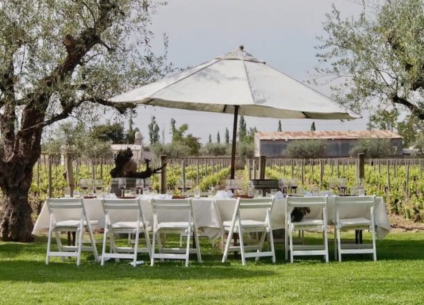 Lunch beside vineyards at Bodega Tapiz