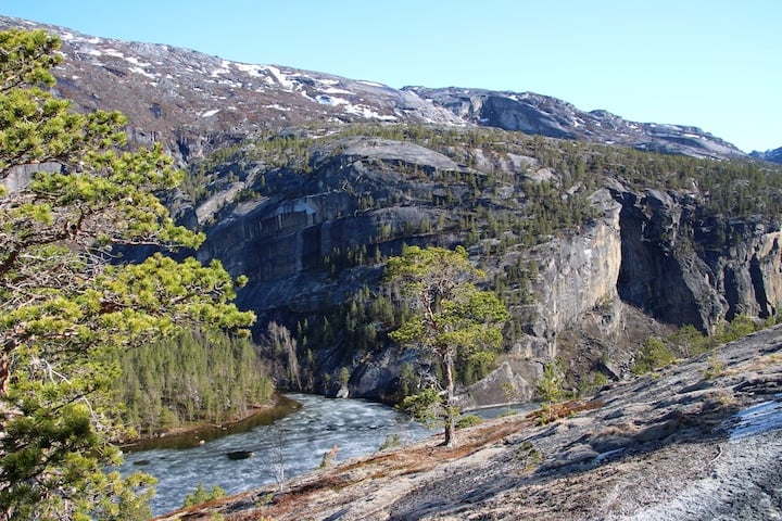 Tysfjorden