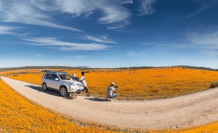 Wildflower bloom in Namaqualand (Credit: South African Tourism)