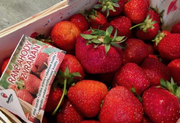 Czech strawberries are among the best in the world