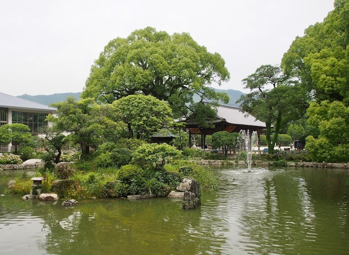 A peaceful scene on the sprawling Dazaifu Tenmangu Shrine grounds