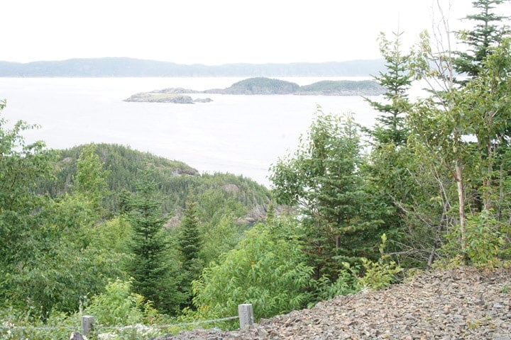 Overlooking Badger Bay in Triton, NL