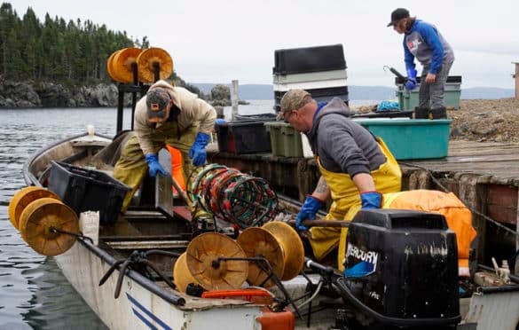 Fishermen bringing in the day's catch in Triton